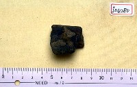 藏品(不明跗骨)的圖片